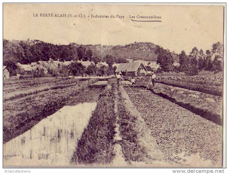 Essonne.....La Ferté Alais.....Les Cressonnières - La Ferte Alais