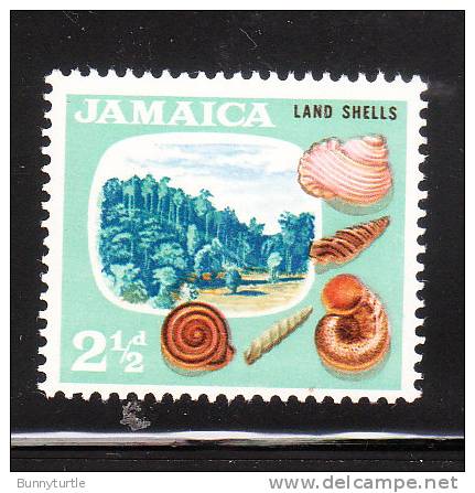 Jamaica 1964 Land Shell 2 1/2p MNH - Jamaica (1962-...)