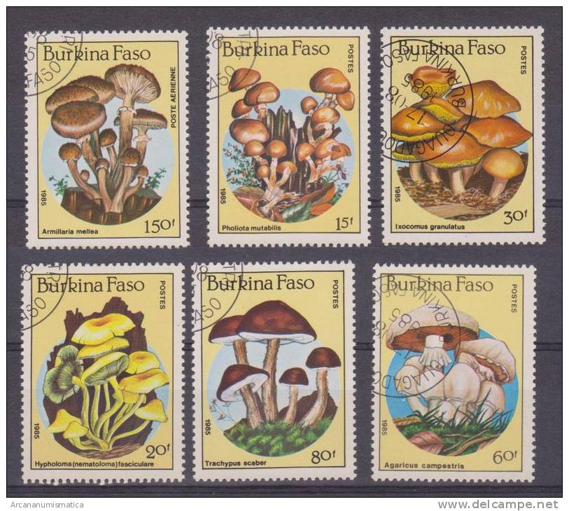 BURKINA FASO Serie De 6 Sellos 1.985 "SETAS"   Nuevos News Mushrooms     S-102 - Burkina Faso (1984-...)