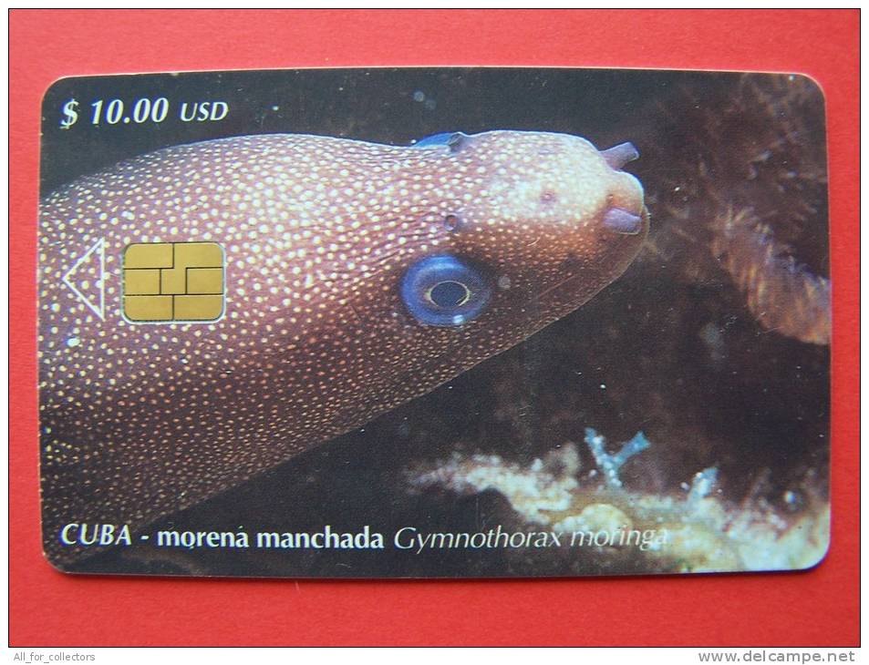 Animal Fish, Morena, Chip Phone Card , $10 Etecsa, 30.000, - Cuba