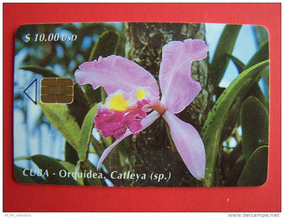Chip Phone Card , $10 Etecsa, 30.000, Flower, Orquidea, - Cuba