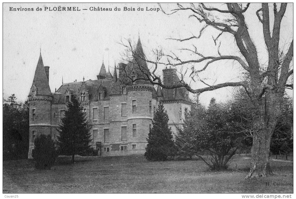 56 Environs De PLOERMEL - Château Du Bois Du Loup - Ploërmel
