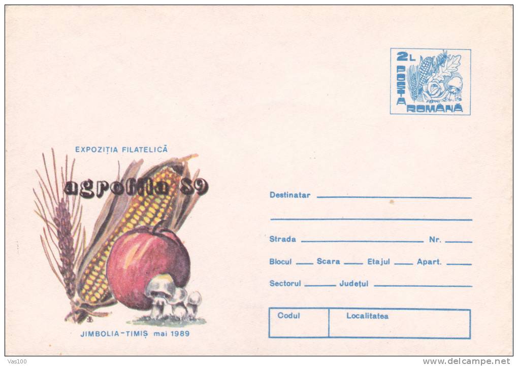 Exhibition Of Vegetables And Fruits, Apples Corn, Mushrooms, Etc.1989 Cover Stationery Entier Unused Romania - Alimentation