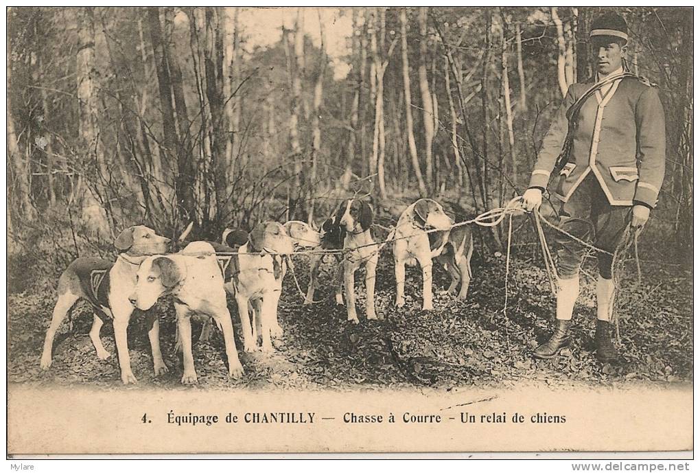 Cpa60 Chantilly Chasse à Courre Relai De Chiens - Chantilly