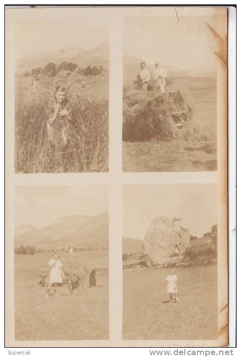 REF19.266  ISERE. VILLARD-DE-LANS.RARE CARTE-PHOTO .4 VUES.TRAVAUX DANS LES CHAMPS - Villard-de-Lans