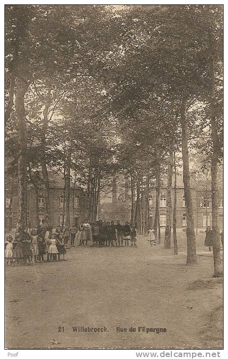 Willebroek / Willebroeck : Rue De L'Epargne --- 1909 - Willebrök