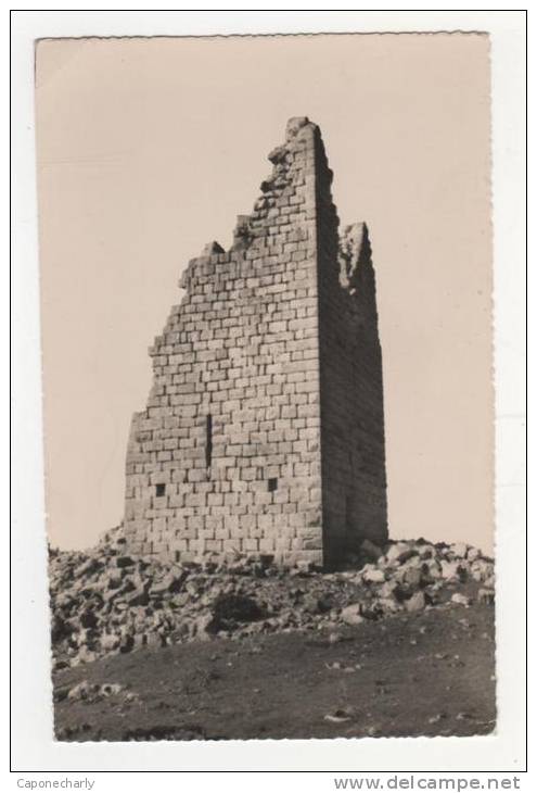 * CPSM SANILHAC, RUINES DE LA TOUR BRISON, Format 9 Cm Sur 14 Cm Environ, ARDECHE 07 * - Autres & Non Classés