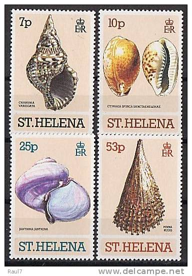 ST-HELENA - 1981 - Coquillages - 4v Neufs - Mnh - St. Helena