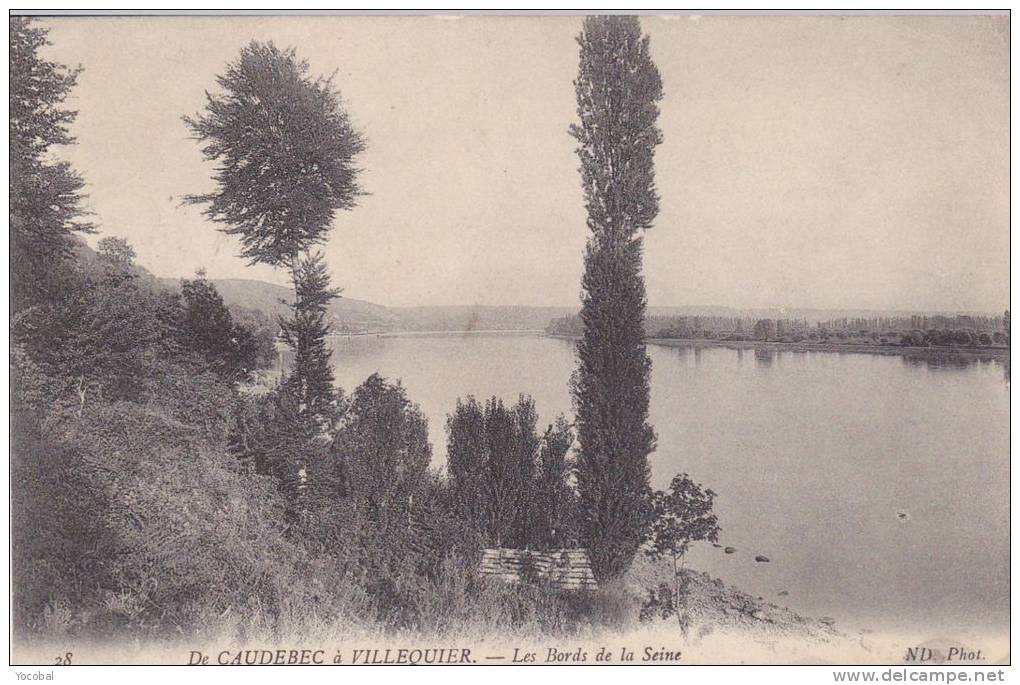 Cp , 76 , DE CAUDEBEC à VILLEQUIER , Les Bords De La Seine - Villequier