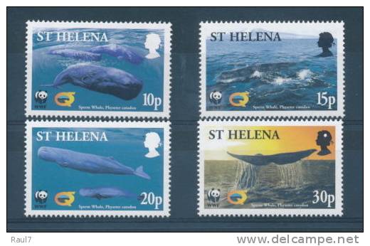 ST-HELENA 2002 - Faune, Baleines Wwf - 4v - Mnh - Saint Helena Island