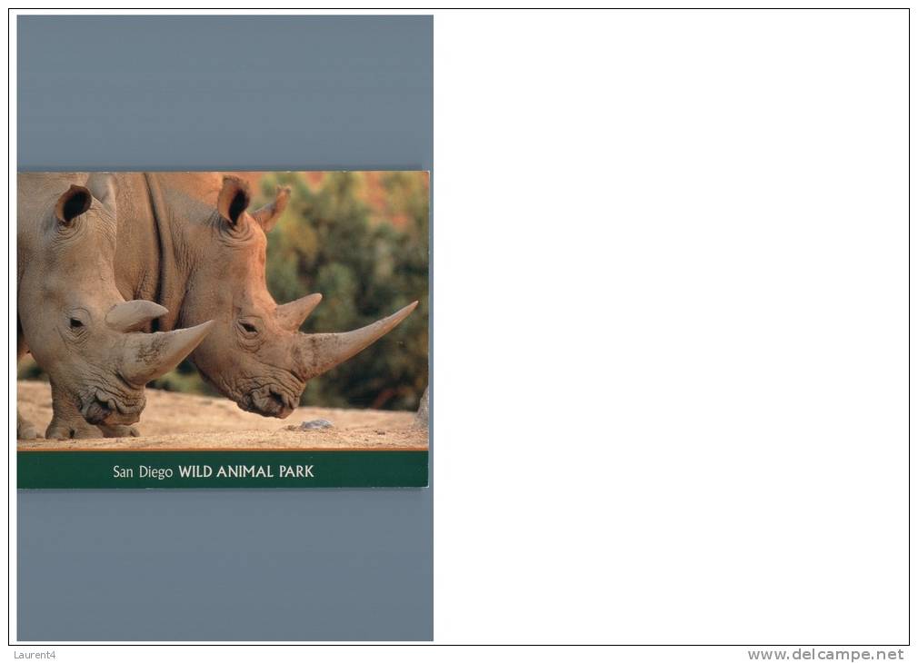 (301) Rhinoceros - Rhino - Rhinozeros