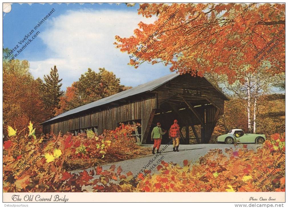 DOLBEAU Lac ST JEAN Canada : Old Covered Bridge Pont Recouvert ( Auto Car Wagen  Triumph TR3B ) - Modern Cards