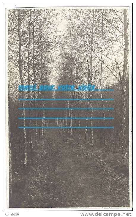 Cpp Belgique  EKENHOF Belgie April 1921 , Chemin Bois Forêt - Kapellen