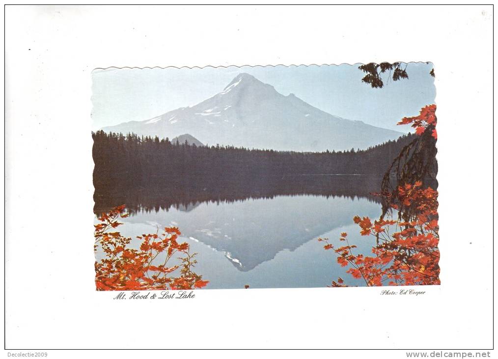 B52189 Mount Hood Lost Lake Oregon Used Perfect Shape - Portland