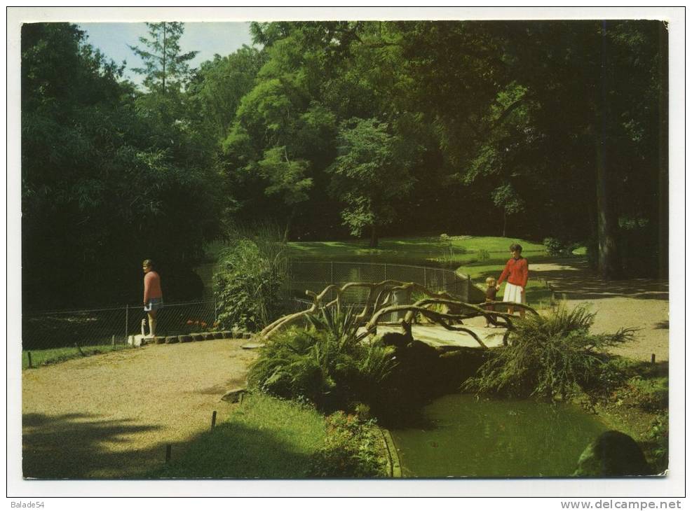 CPM . LUCON (85) Jardin Dumaine - Le Lac Et Le Pont Rustique (animée) - Lucon