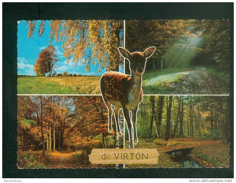 CPSM - Belgique - Bonjour De VIRTON - Multivues ( Forêt Gibier Biche KRUGER N 150) - Virton