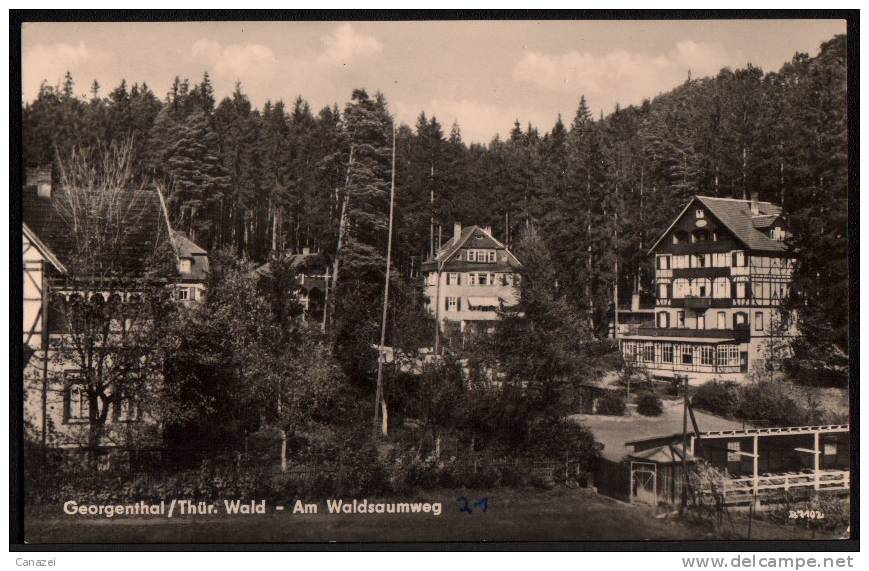 AK Georgenthal, Am Waldsaumweg, 1961, Gelaufen - Georgenthal