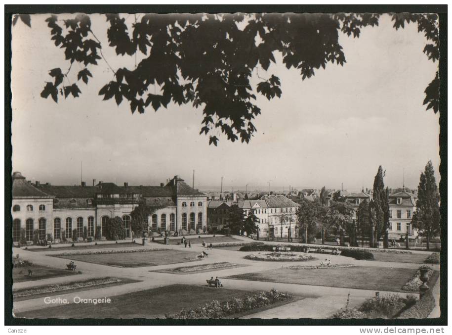 AK Gotha, Orangerie, 1959 - Gotha