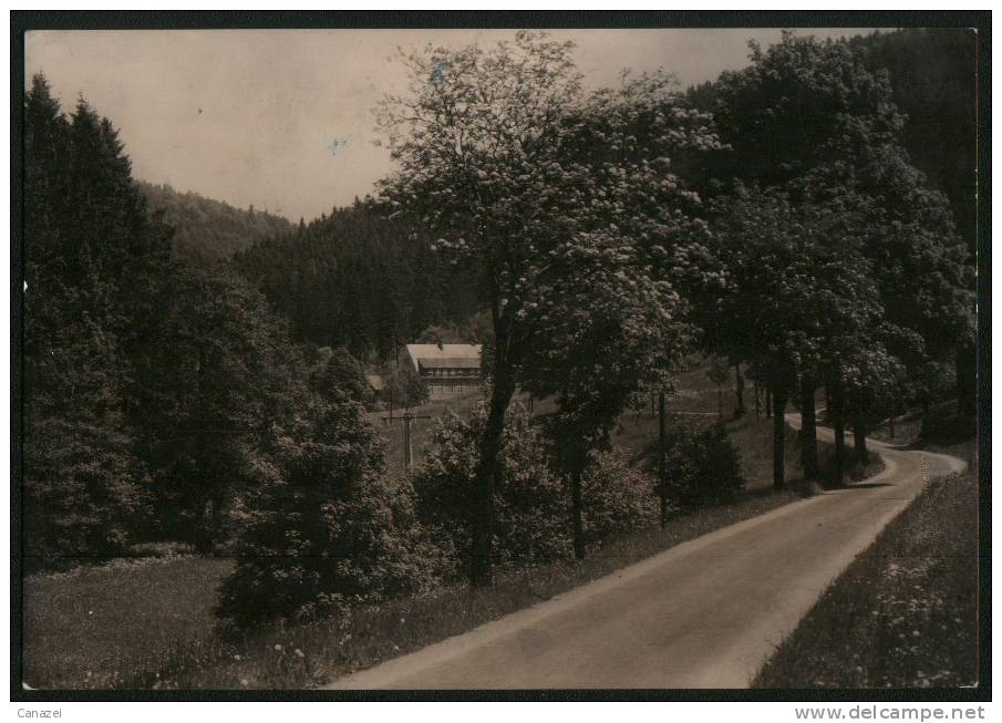 AK Erlbach/Vogtland, Kinderheim Tannenmühle, 1965 - Vogtland