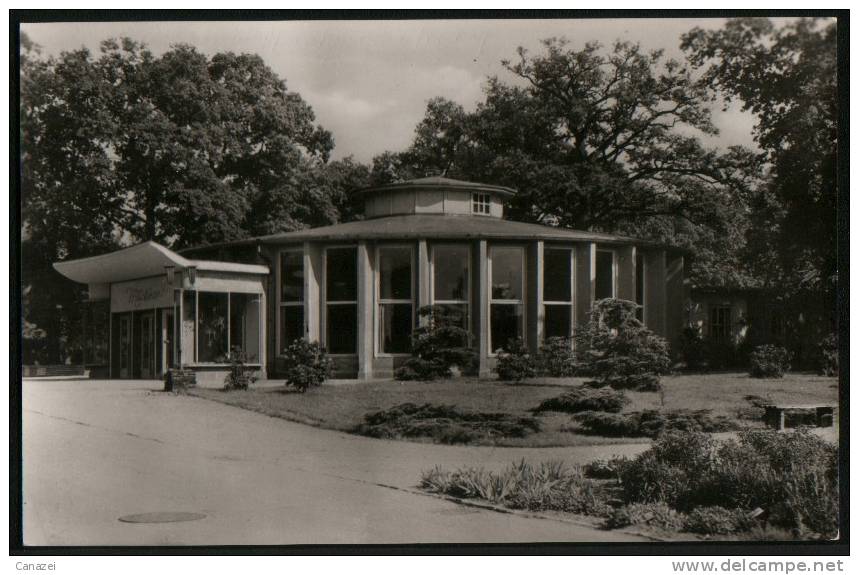 AK Leipzig-Markkleeberg, Gartenbauausstellung Der DDR, Milchbar, 1960 - Markkleeberg