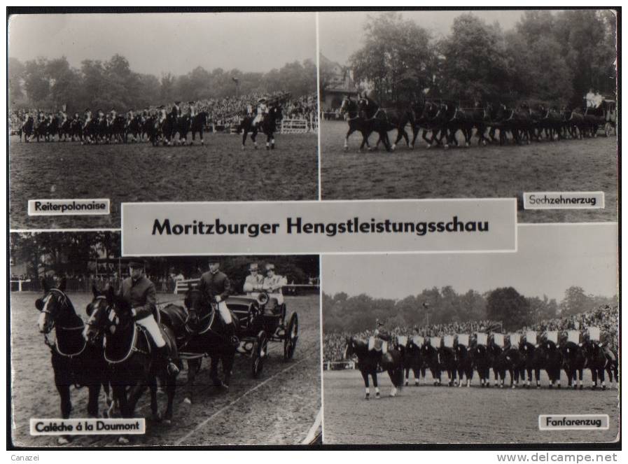 AK Moritzburger Hengsleistungsschau, Handabzug 1969, Ungelaufen - Moritzburg