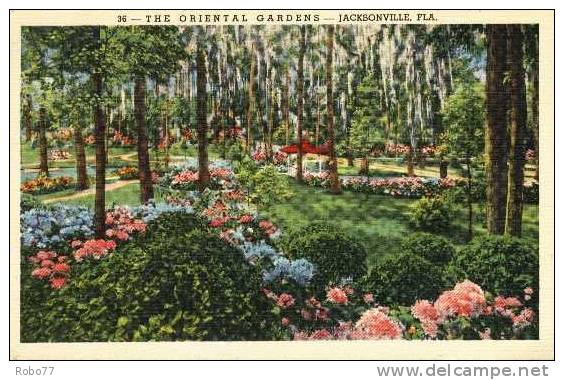 1940 USA Postcard. The Oriental Gardens &ndash; Jacksonville, FLA.   (T21006) - Jacksonville