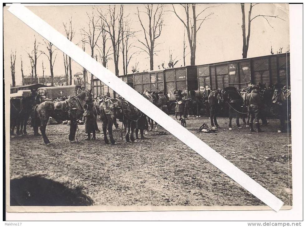 Soissons Aisne Débarquement De Chevaux Et Soldats Us Cavalerie 1914-1918 Ww1 1.wk Poilus - Guerre, Militaire