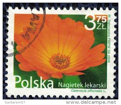 Timbre Oblitéré Used Stamp Nagietek Lekarski 3,75 Zl Fleur Flower Gazanie 2009 POLOGNE WNS N° PL033.09 - Used Stamps