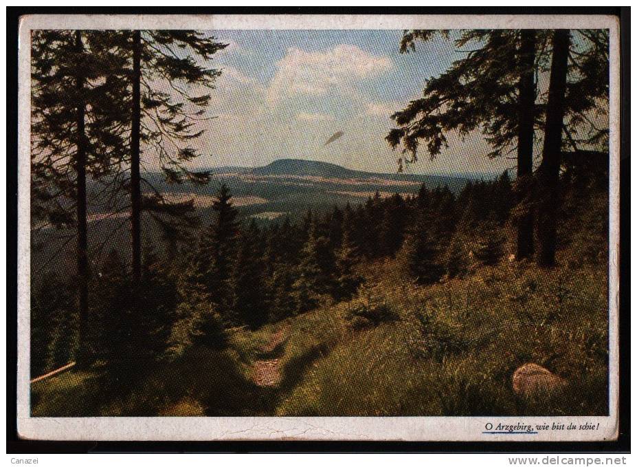 AK Erzgebirge, Fichtelberg Bis Spitzberg Bei Gottesgrab, Gelaufen 1918 - Oberwiesenthal