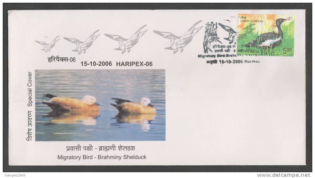 India 2006  BRAHMINI SHELDUCK - MIGRATORY BIRD  Special Cover # 32787 Indien Inde - Canards