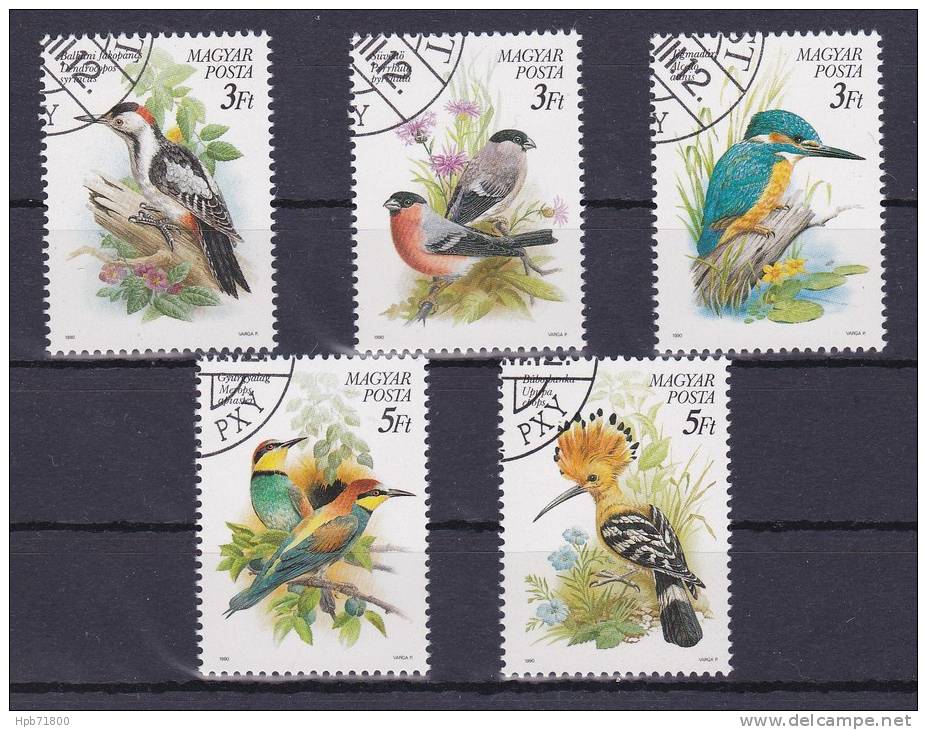 Lot De 5 Timbres-poste Oblitérés - Oiseaux Espèces Protégées - N° 3257-3258-3259-3260-3261 (Yvert) - Hongrie 1990 - Used Stamps