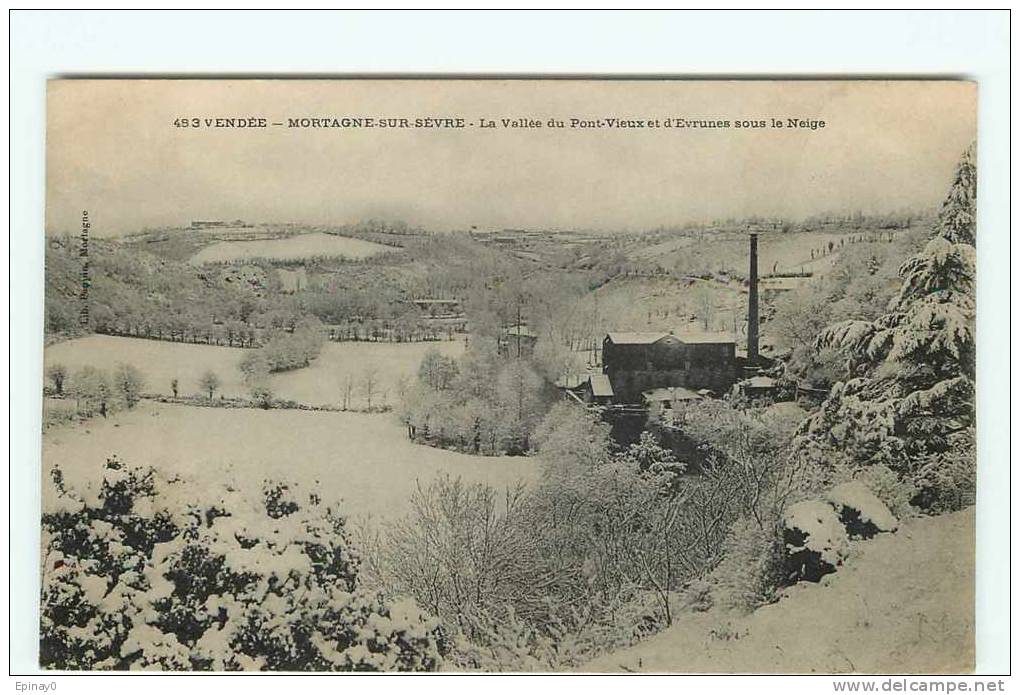 B - 85 - MORTAGNE SUR SEVRE - La Vallée Du Pont Vieux Et D´Evrunes - Mortagne Sur Sevre