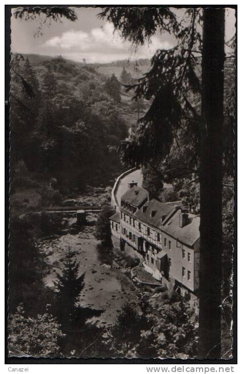 AK Monschau/Eifel, Rurpartie, Gelaufen 1959 - Monschau