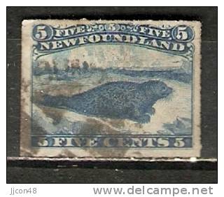 Newfoundland 1876-79  5c Rouletted  (o) - 1865-1902