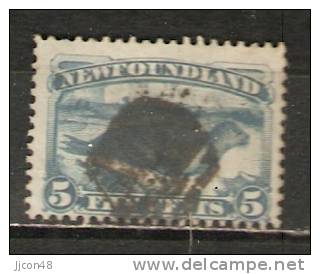 Newfoundland 1876-79  5c   (o) - 1865-1902