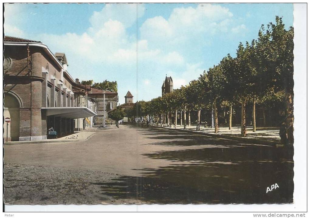 RABASTENS - La Promenade - Rabastens