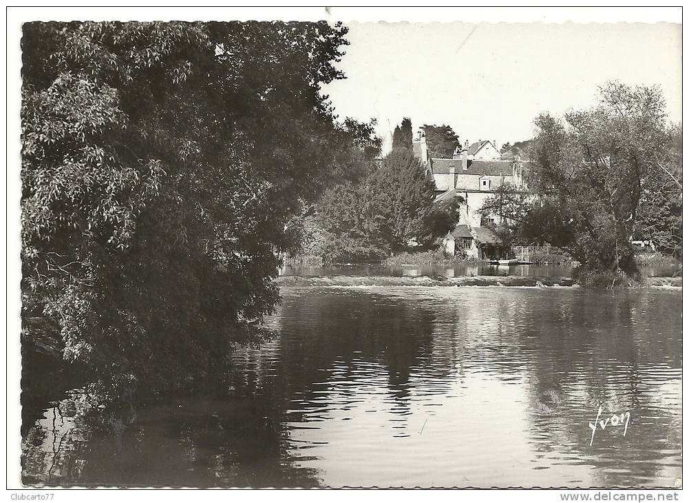 Vierzon (18) :Maisons Au Bord De L'Yèvre Au Niveau Du Déversoir En 1950   PHOTO VERITABLE. - Vierzon