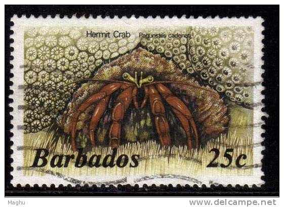 Barbados Used 1985, 25c Hermit Crab, Marine Life., - Barbados (1966-...)