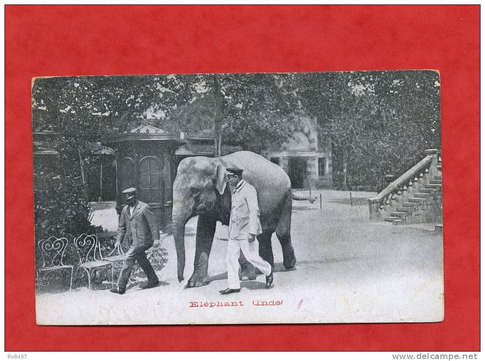 * ELEPHANT(INDE):2 Gardiens...?(Carte Expédiée Ou Adressée De GONDRECOURT-MEUSE-1905 - Elephants