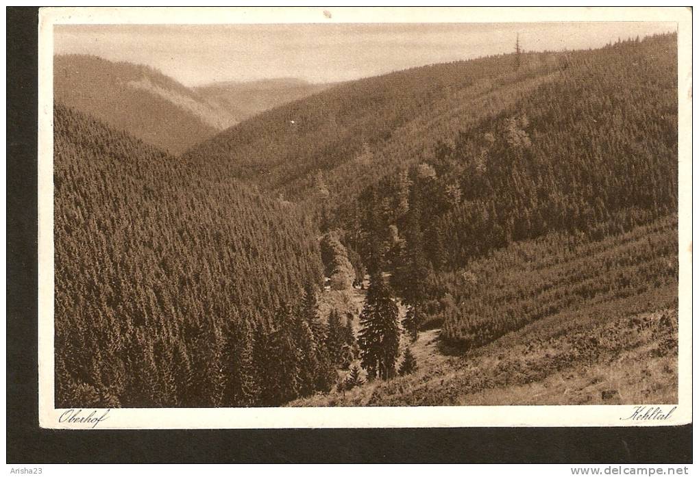 440. Germany Thuringen Hohenluftkurort Oberhof Blick In Das Kehltal Old Postcard Posted In 1927 Or.g Thuringerwaldverlag - Oberhof