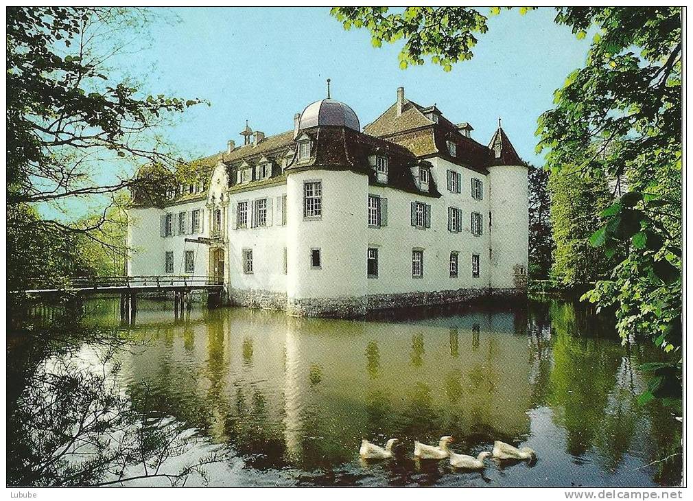 Bottmingen - Weiherschloss                Ca. 1980 - Bottmingen