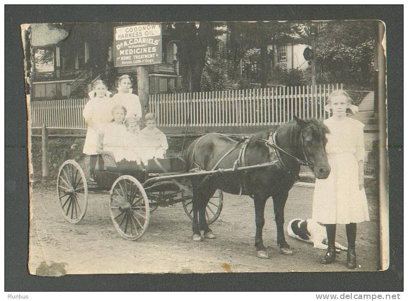 USA REAL PHOTO, CHILDREN WITH PONY CARRIAGE, AGENCY FOR  Dr. DANIELS VETERINARY MEDICINES, REAL PHOTO - American Roadside