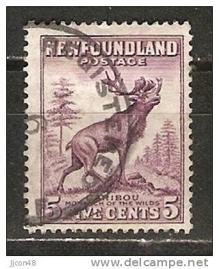 Newfoundland 1932-38  5c   (o)  Die I - 1908-1947