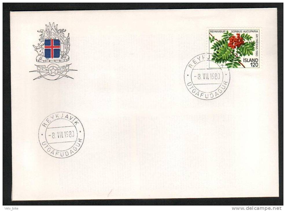 Iceland FDC 8/7 1980 Rowan Twig Sorbus Aucuparia - FDC