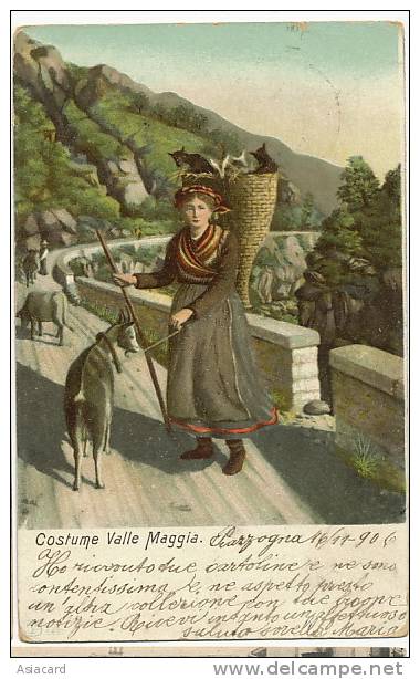 Costume Valle Maggia Gardienne Chevres Goat Keeper  P. Used  Piazzogna 1906 No 6867 - Maggia