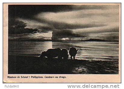 CPA.       PHILIPPINES.   Missions Van Scheut.   Caraboas Au Rivage. - Filipinas