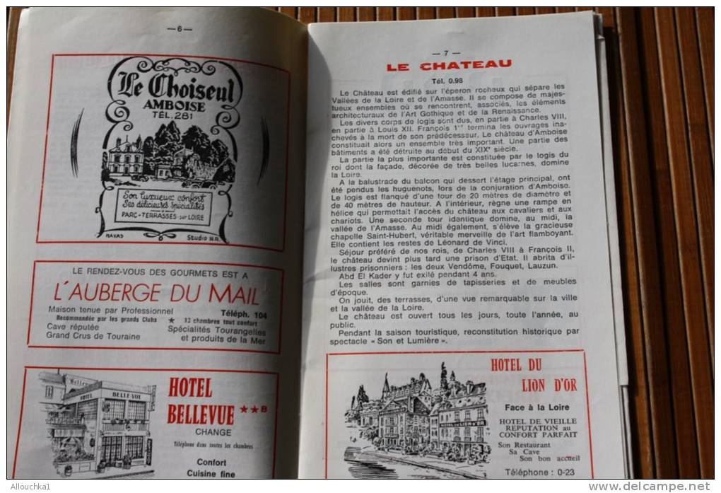 Guide Touristique Pratique Syndicat D'initiative D'Amboise+tticket D'entrée Château Son Et Lumières+plan-clos Lucé-publi - Europe