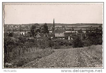 CPSM 58 CHAMPVERT - Vue Generale - Autres & Non Classés