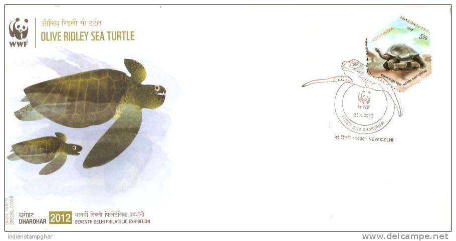 WWF Specical Cover,Olive Ridley Sea Turtle, By India Post, Pictorial Cancellation, As Per Scan Only - Covers & Documents