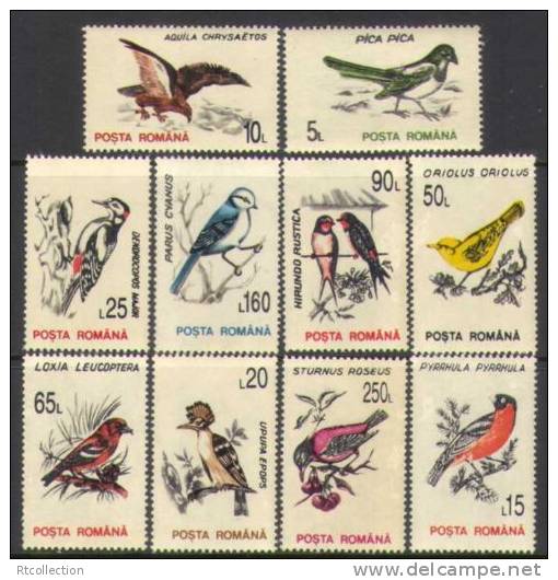 Romania 1993 - A Set Of 10 Colorful Birds Eagle Woodpecker Bird Animal Animals Fauna Nature Stamps MNH Michel 4875-4884 - Unused Stamps
